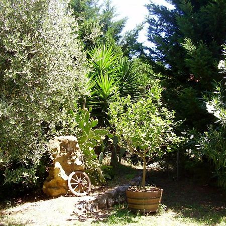 Podere Belvedere Cecina Cecina  Exterior photo