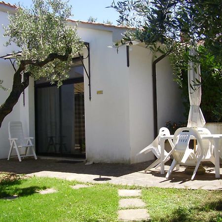 Podere Belvedere Cecina Cecina  Exterior photo