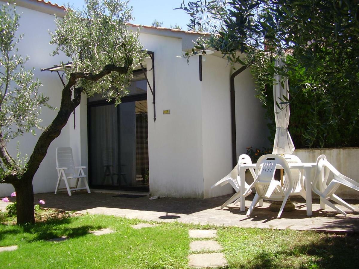 Podere Belvedere Cecina Cecina  Exterior photo